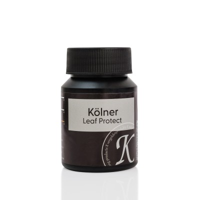 Kölner Leaf Protect - Überzugslack 500 ml