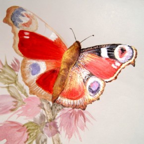 Kasetka malarska NYMPHE – 6 farb interferencyjnych